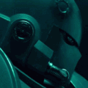 avatar [ΦX] knight flower