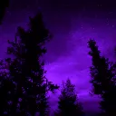 31.07_
