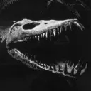 primaldino