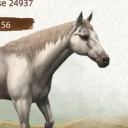 wooks1650