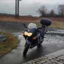 klaczek2