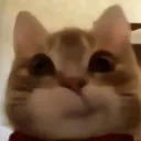 sykkq