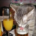 avatar Rainbonic Phoenix