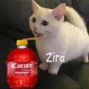 zira_404