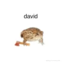 .dadoo_