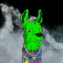 alpaca_pax4785