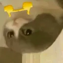 penciltip8175 avatar