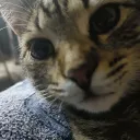 Аватар slava_antsibor