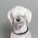 soggy_6 avatar