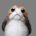 porg8020