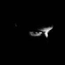 CurseForge profile picture for @government