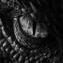 avatar 𝕶𝖗𝖔𝖑