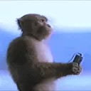 ywi