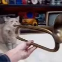 furudaka