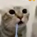 furudaka