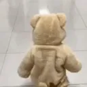 gg.teddy