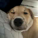 zinx_fr_#5511's avatar