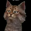 catgamesyt