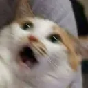 deskiiz