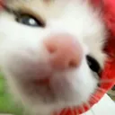sweetri.