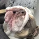 rocco085387