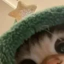 snoxyno