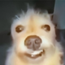 taskingzebra125 member profile picture