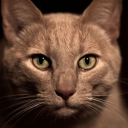 avatar JinxedDesires