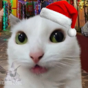 avatar ☆ iroha ☆