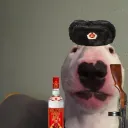 gulagleader1823