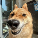 avatar มะม่วงเซเว่น