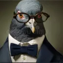 el_pato55