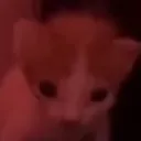 kinzcul
