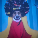 avatar Jules🇺🇳