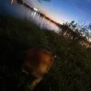 misticgmd