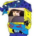 cripmando6586