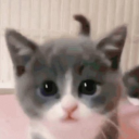 avatar Xyb