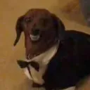 muletdaddy