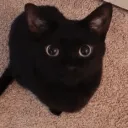 eddyosito