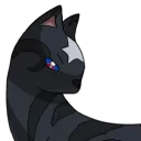 jayfeatherwc