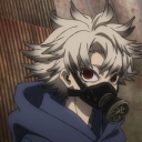 avatar Animals and Stories