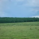 agilityhue