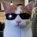 moji_oi