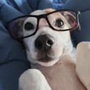 avatar 🍫Starbar🍫