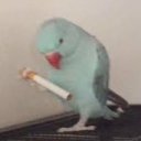 avatar 𝐇𝐔𝐒𝐒𝐍𝐀𝐈𝐍