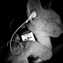 avatar прощаю)