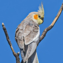 avatar 𝓠𝓾𝓲𝓮𝓽