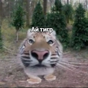 avatar ромашка