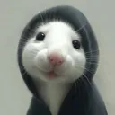 elmemoon