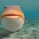 lkdsfjjjjdfeijfaowijfpsadf
